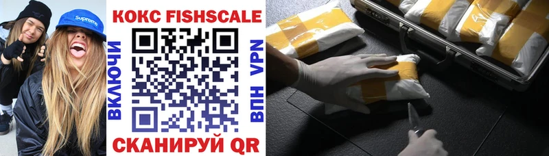 Купить  Назарово  COCAIN FishScale 